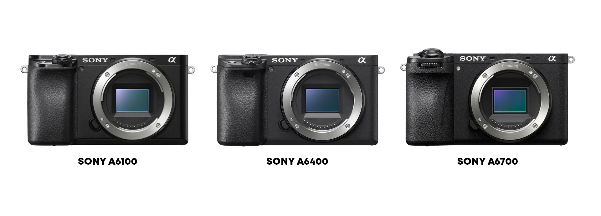 Sony Cameras
